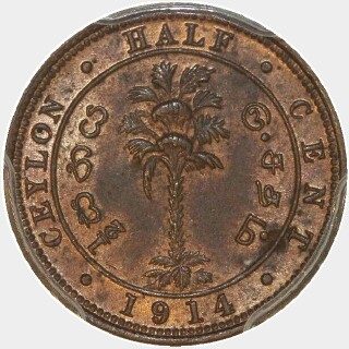 1914  Half Cent reverse
