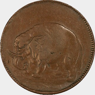 Elephant  Half Penny obverse