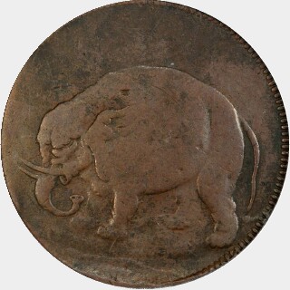 Elephant  Half Penny obverse